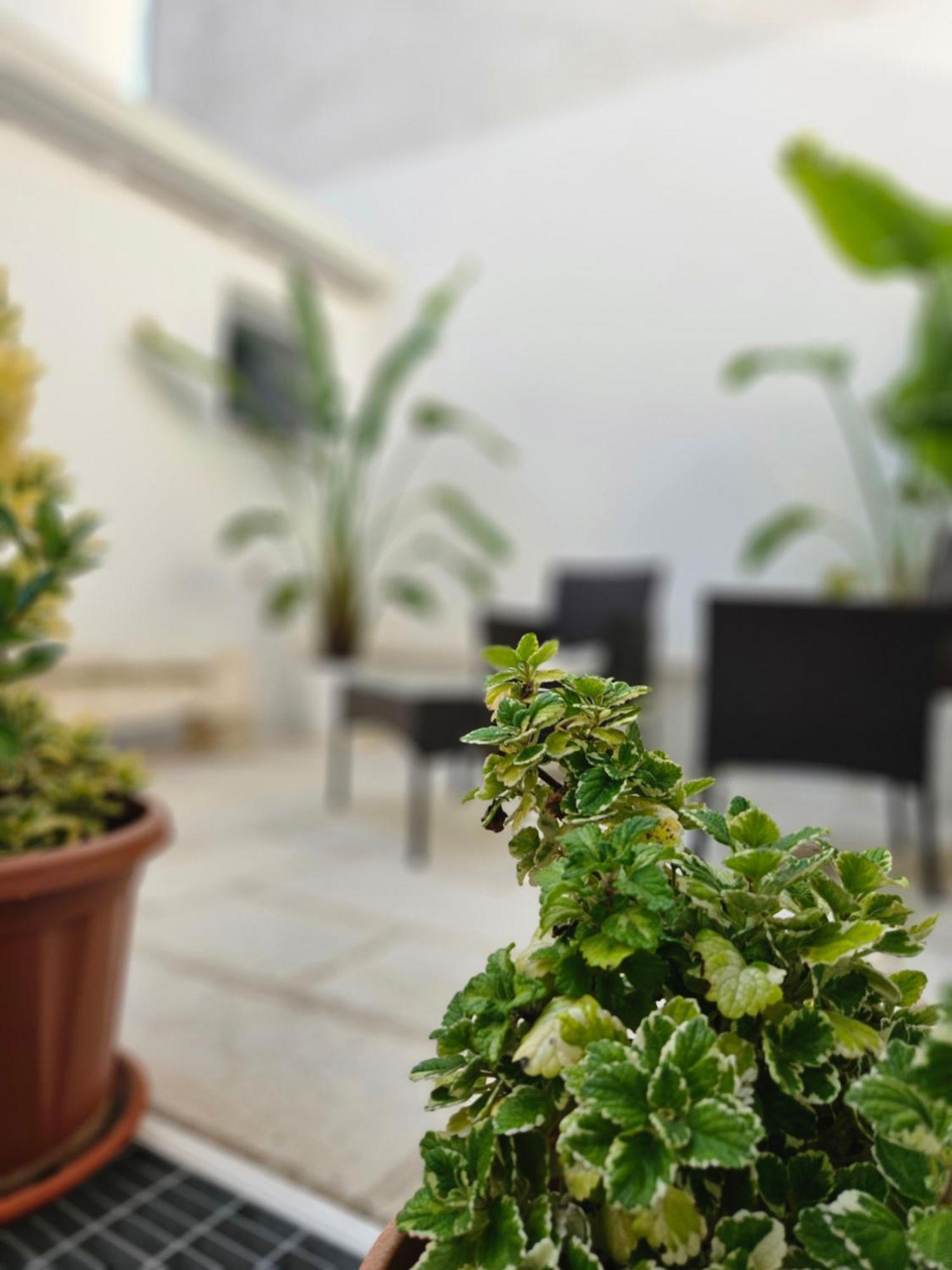 B&B La Campana Salentina Galatone Dış mekan fotoğraf